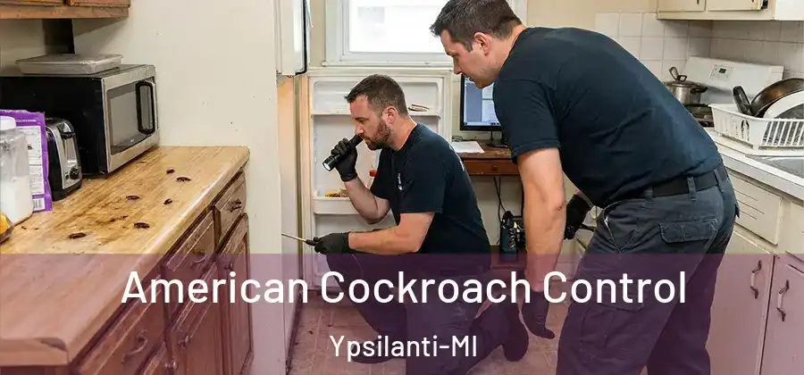  American Cockroach Control Ypsilanti-MI