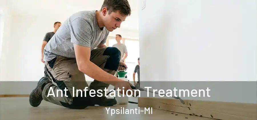  Ant Infestation Treatment Ypsilanti-MI