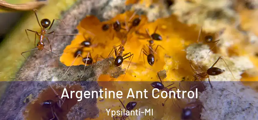  Argentine Ant Control Ypsilanti-MI