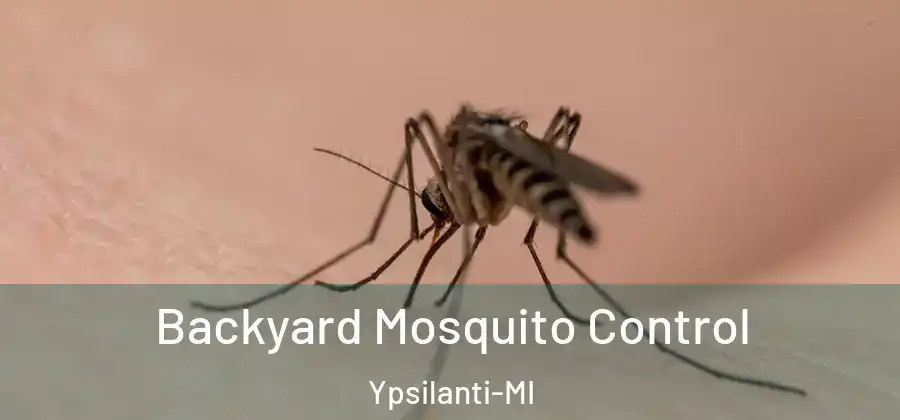  Backyard Mosquito Control Ypsilanti-MI