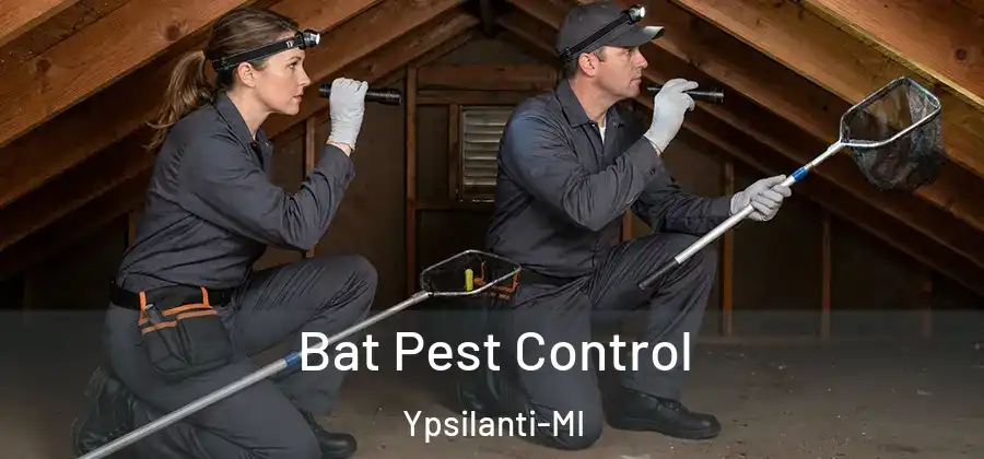  Bat Pest Control Ypsilanti-MI