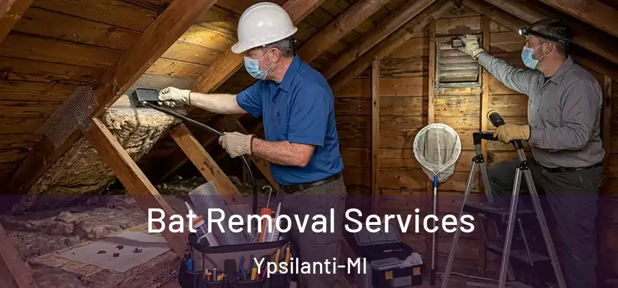  Bat Removal Services Ypsilanti-MI