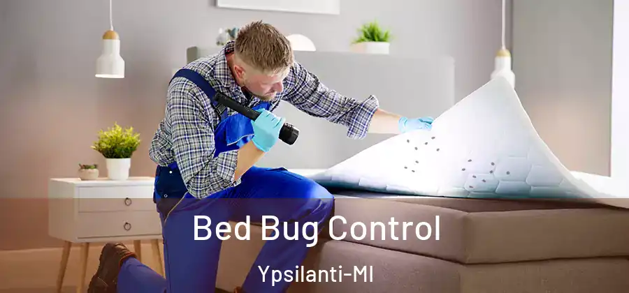  Bed Bug Control Ypsilanti-MI