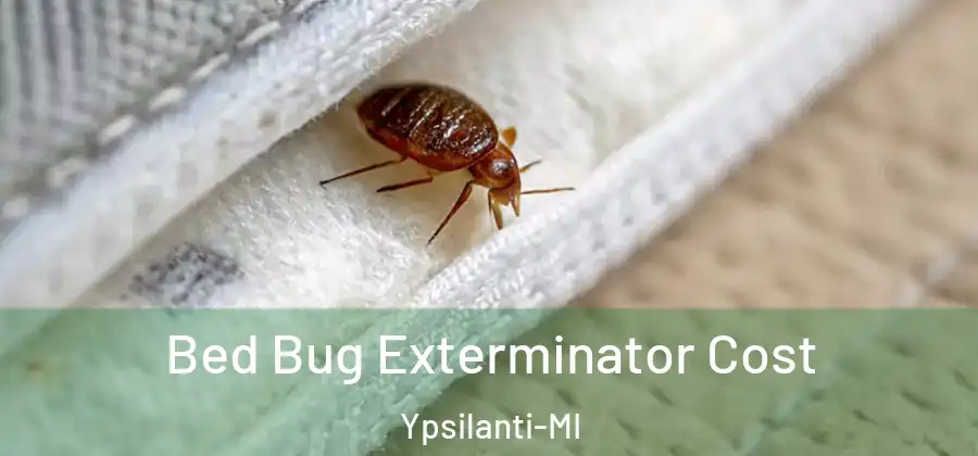  Bed Bug Exterminator Cost Ypsilanti-MI