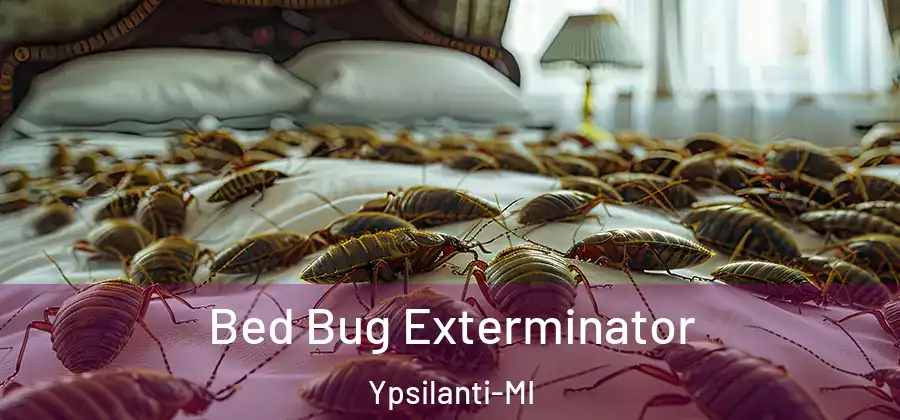  Bed Bug Exterminator Ypsilanti-MI