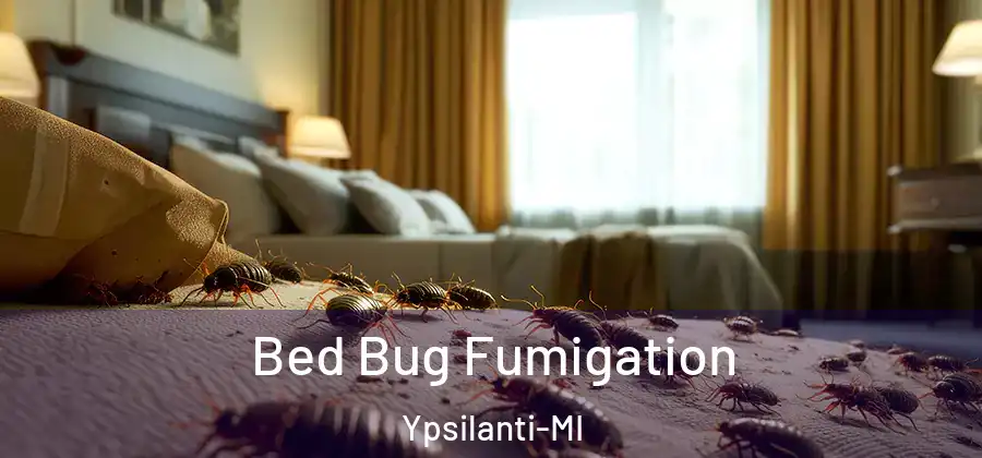  Bed Bug Fumigation Ypsilanti-MI