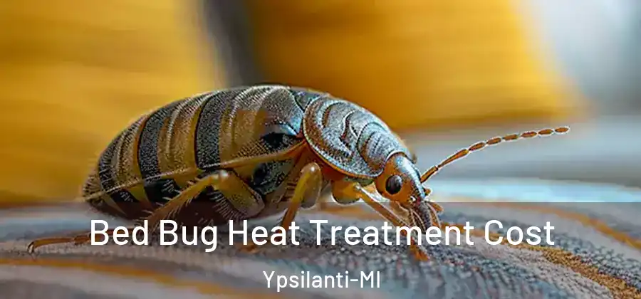  Bed Bug Heat Treatment Cost Ypsilanti-MI