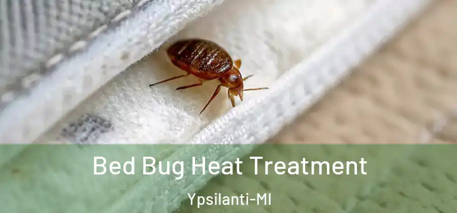  Bed Bug Heat Treatment Ypsilanti-MI