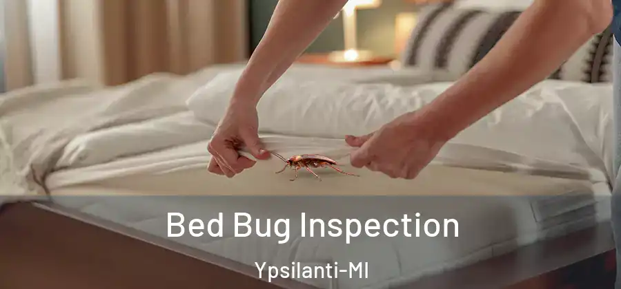  Bed Bug Inspection Ypsilanti-MI