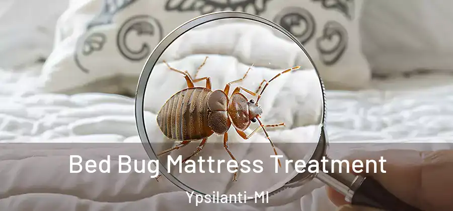  Bed Bug Mattress Treatment Ypsilanti-MI