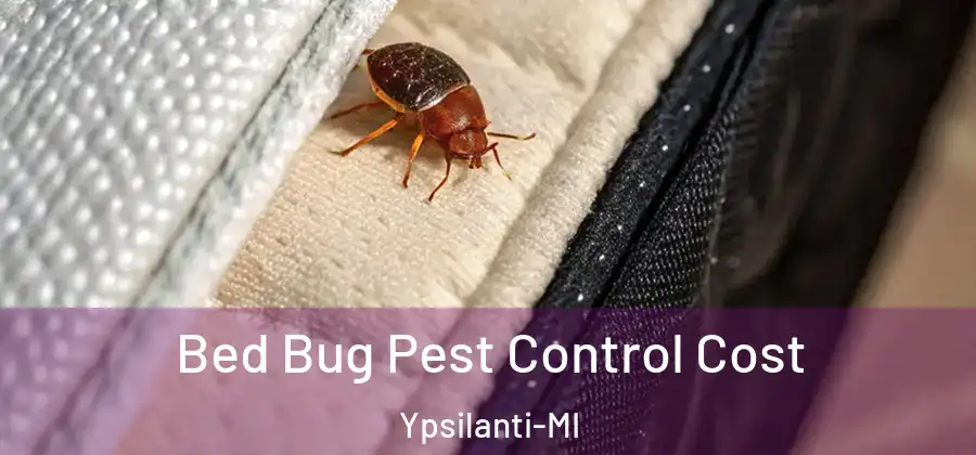  Bed Bug Pest Control Cost Ypsilanti-MI