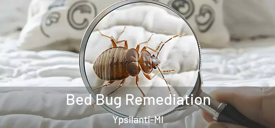 Bed Bug Remediation Ypsilanti-MI