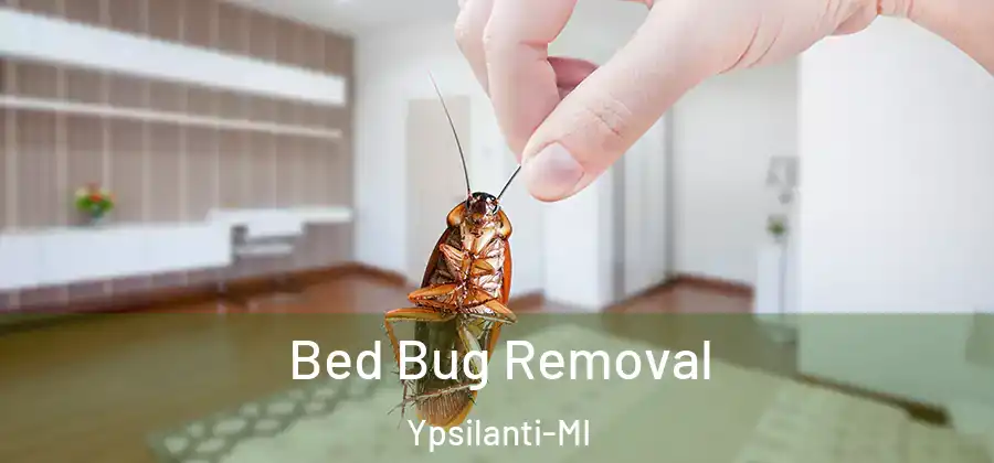  Bed Bug Removal Ypsilanti-MI