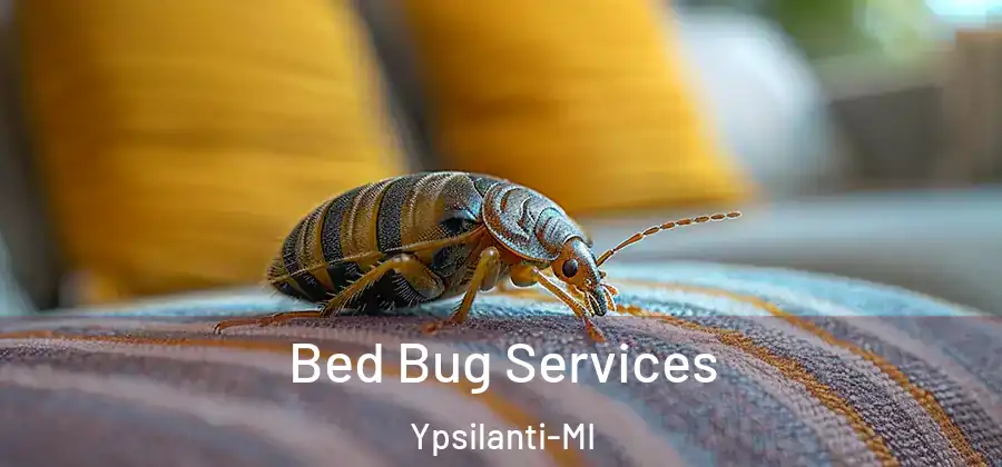  Bed Bug Services Ypsilanti-MI