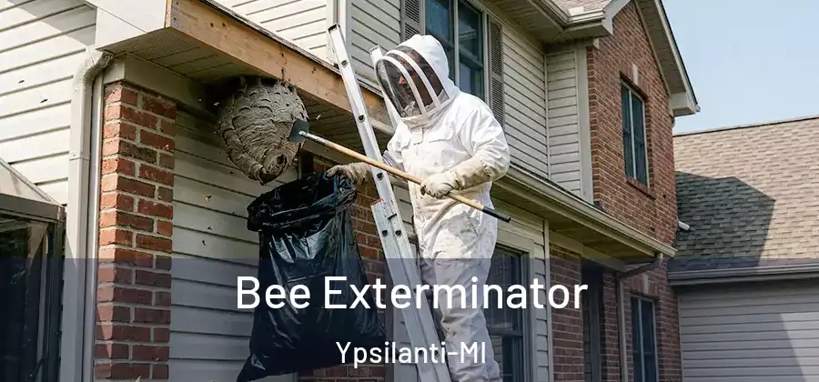  Bee Exterminator Ypsilanti-MI