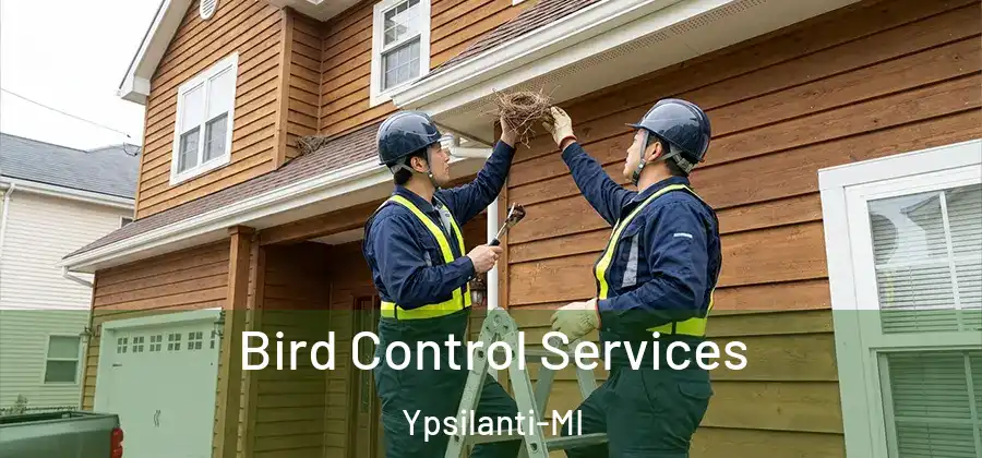  Bird Control Services Ypsilanti-MI