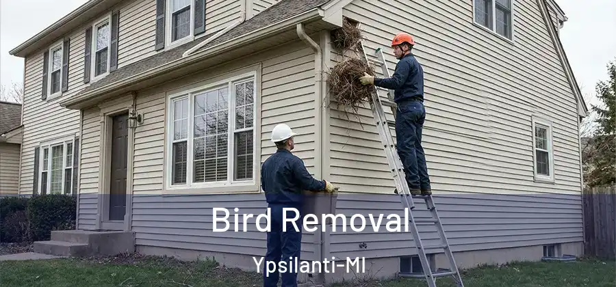  Bird Removal Ypsilanti-MI