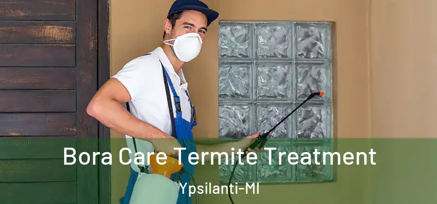  Bora Care Termite Treatment Ypsilanti-MI