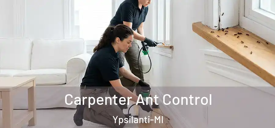  Carpenter Ant Control Ypsilanti-MI