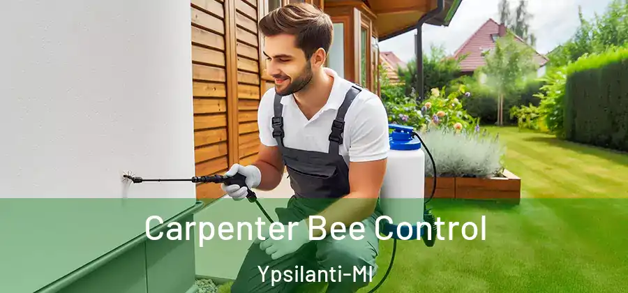  Carpenter Bee Control Ypsilanti-MI