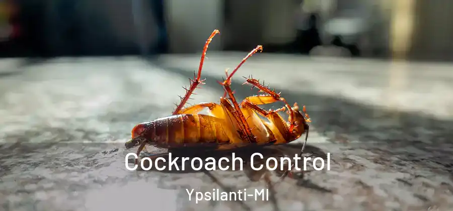  Cockroach Control Ypsilanti-MI