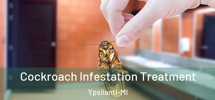  Cockroach Infestation Treatment Ypsilanti-MI