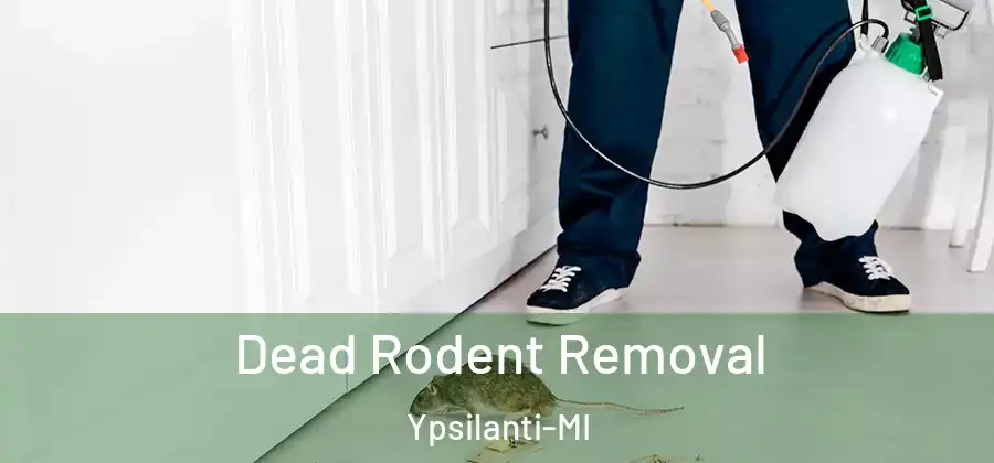  Dead Rodent Removal Ypsilanti-MI
