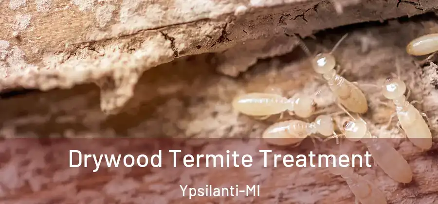 Drywood Termite Treatment Ypsilanti-MI