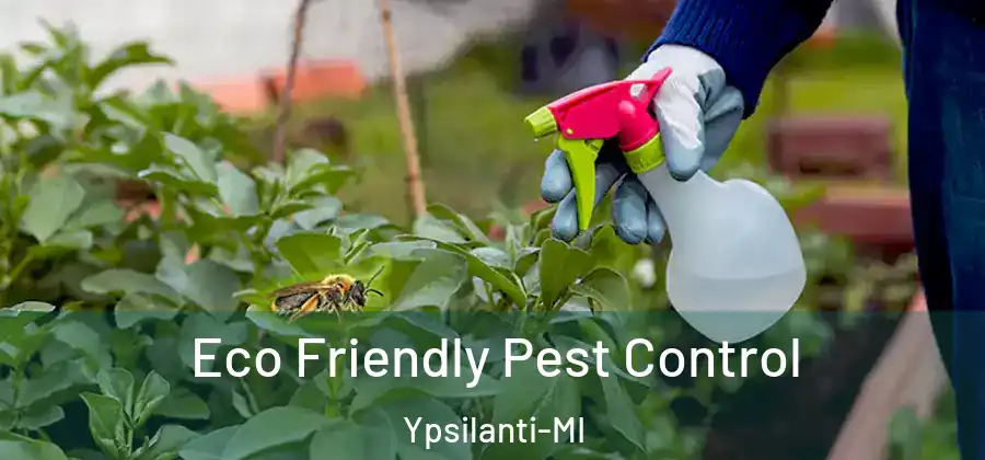  Eco Friendly Pest Control Ypsilanti-MI