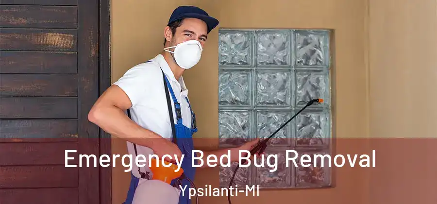  Emergency Bed Bug Removal Ypsilanti-MI