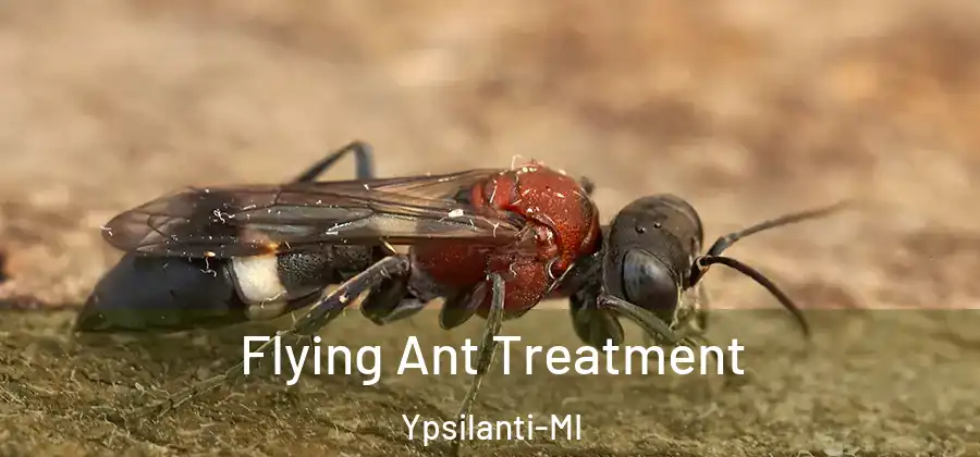  Flying Ant Treatment Ypsilanti-MI