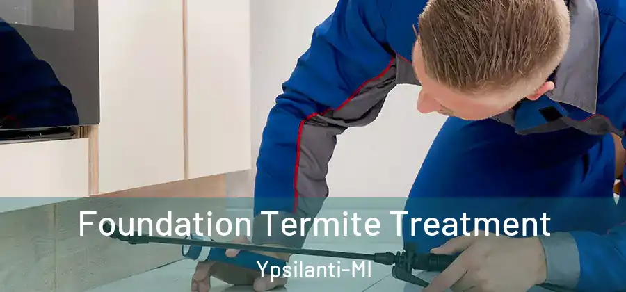 Foundation Termite Treatment Ypsilanti-MI
