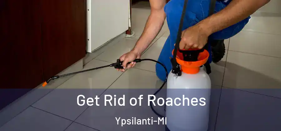  Get Rid of Roaches Ypsilanti-MI