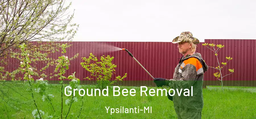  Ground Bee Removal Ypsilanti-MI