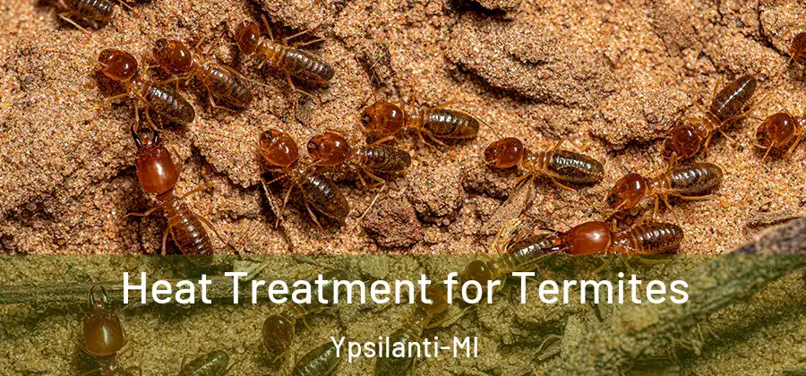  Heat Treatment for Termites Ypsilanti-MI
