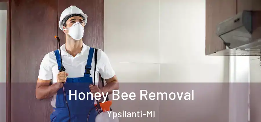 Honey Bee Removal Ypsilanti-MI