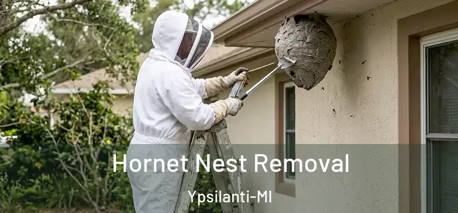  Hornet Nest Removal Ypsilanti-MI