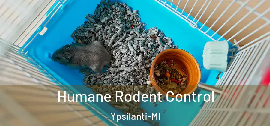  Humane Rodent Control Ypsilanti-MI