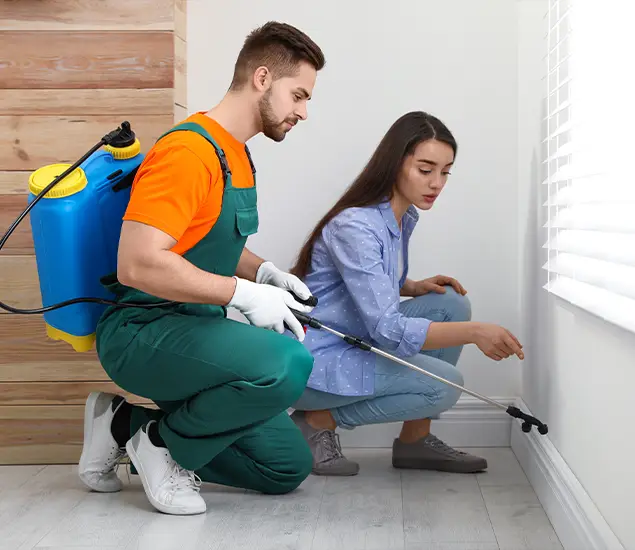 Trusted Affordable Bed Bug Treatment Experts in Ypsilanti, MI