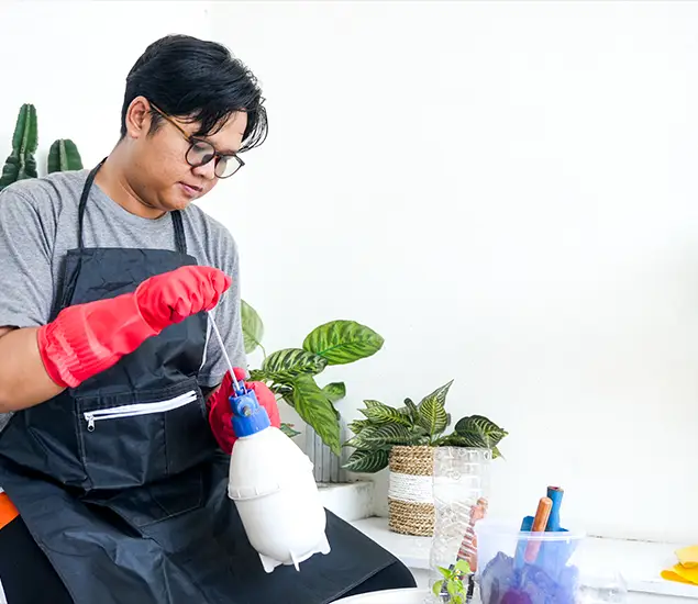 About Bed Bug Chemical Treatment Experts in Ypsilanti, MI