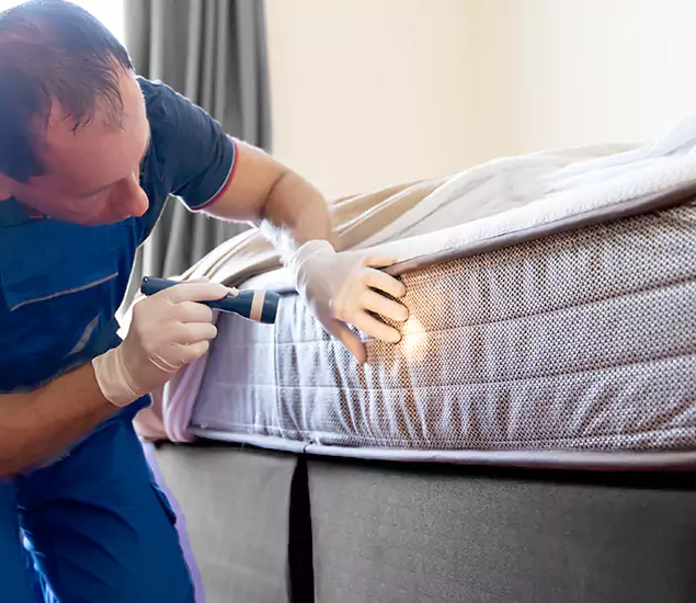 Trusted Bed Bug Cost Experts in Ypsilanti, MI