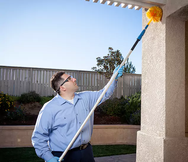 Trusted Experts in Ypsilanti MI for Formosan Termite Treatment and Black Termite Control