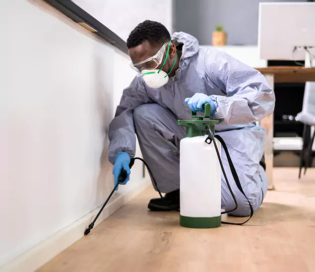 Leading Industrial Pest Control Experts Serving Ypsilanti, MI