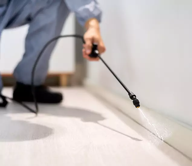 About Our Liquid Termite Treatment Experts in Ypsilanti, MI