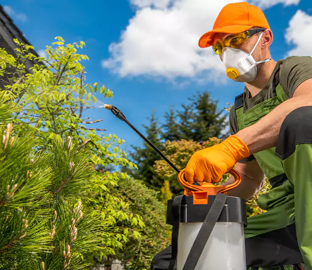 Your Mosquito Repellent Barrier Service in Ypsilanti, MI