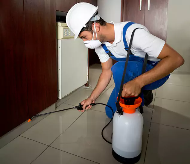 Advanced Termite Pre Treatment Experts in Ypsilanti, MI