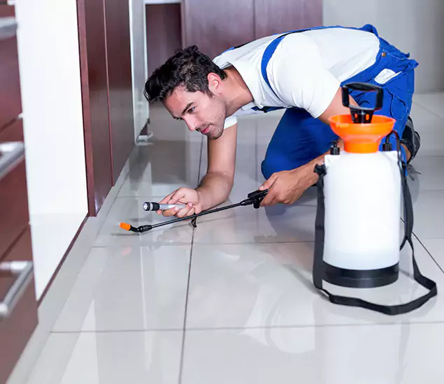 Advanced Slab Termite Treatment Experts You Can Trust&nbsp;in Ypsilanti, MI