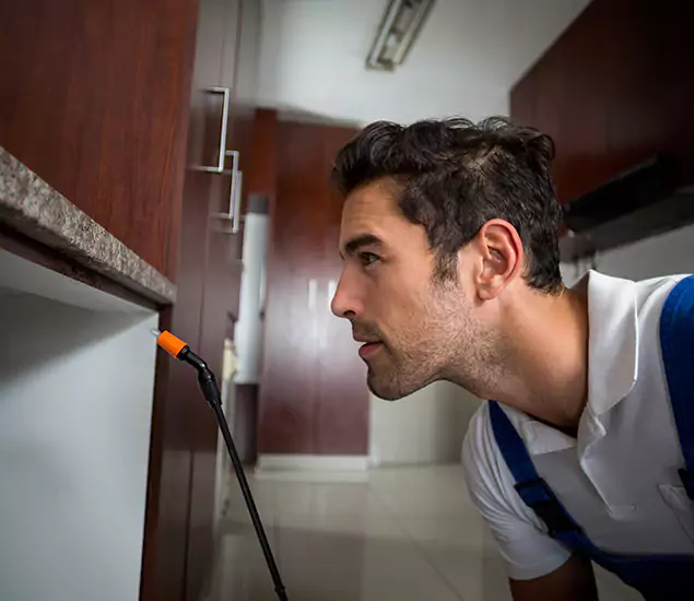 Termite Inspection Cost Experts You Can Trust in Ypsilanti, MI