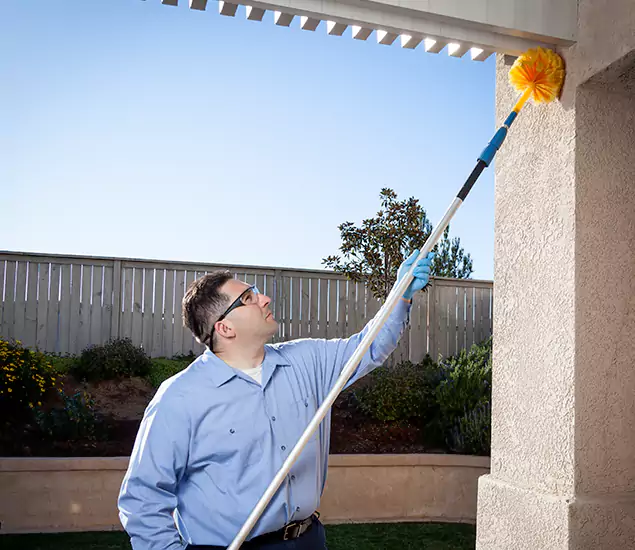 Your Trusted Wasp Removal Company in Ypsilanti, MI