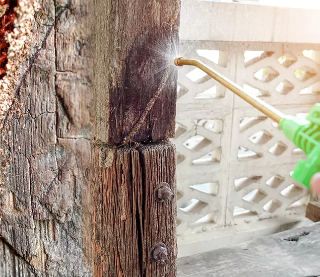 About Wood Termite Treatment Services in Ypsilanti, MI